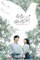 白色橄榄树电视剧完整版免费观看