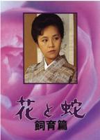 《花与蛇5》电影完整版免费在线观看高清播放全集